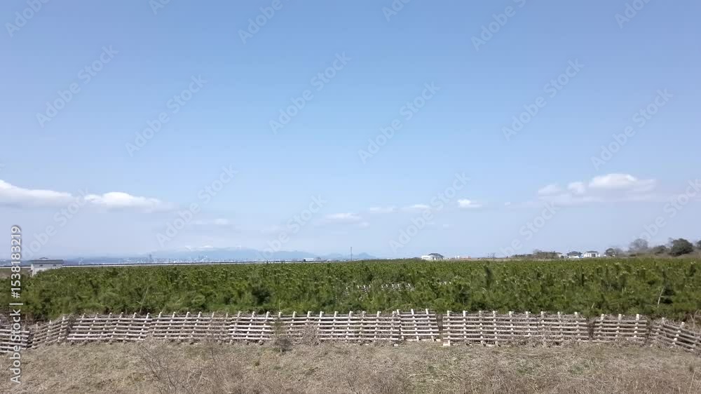 Sendai, Miyagi Prefecture, Japan, April 5, 2025.Afforestation area at Nigobori Pumping Station. (Pan shot) Sendai, Miyagi Prefecture, Japan, April 5, 2025.Afforestation area at Nigobori Pumping Station. (Pan shot)