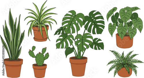 Create a kinds of deferent Diverse indoor potted plant collection, element set on vector art with white background.