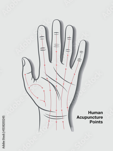 Human Hand Acupuncture Points Diagram for Traditional Chinese Medicine