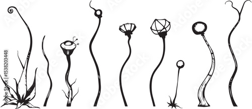 Set of plants and flowers. Hand drawn vector illustration