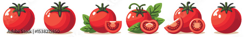 Vector set of fresh tomato fruits