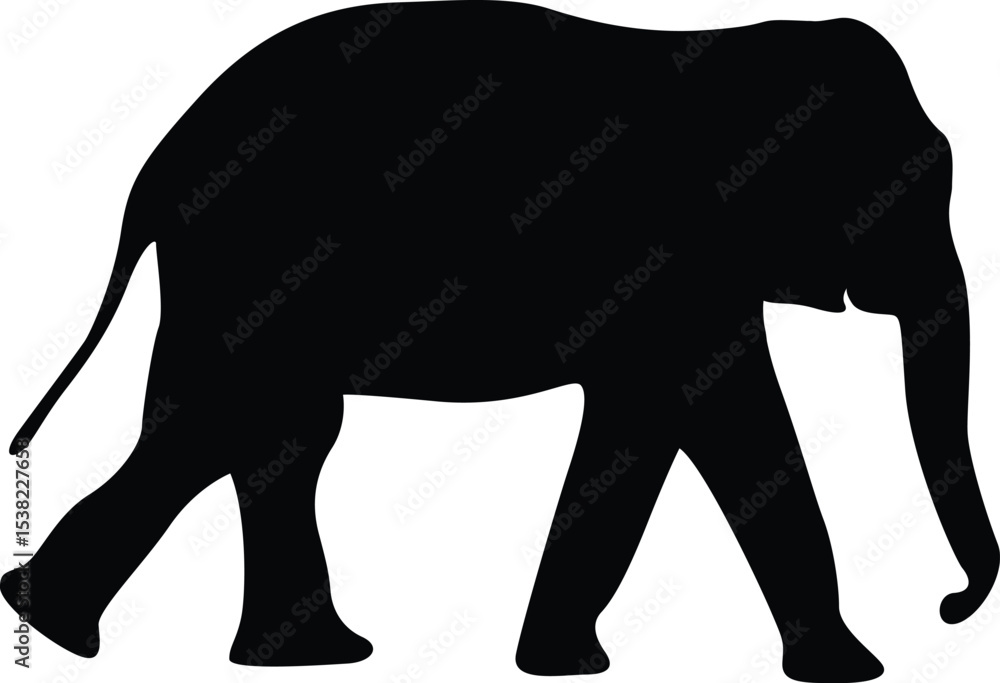 Fototapeta premium Baby elephant. Black. Slihouette. vector. elephant. black silhouette