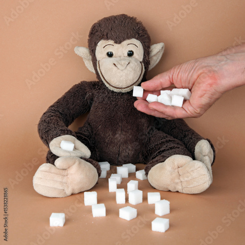 Valokuva Dem Affen Zucker geben