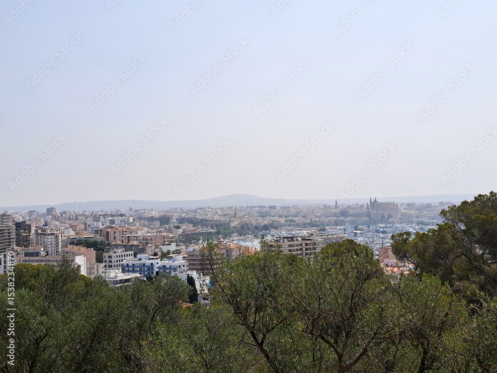 Fototapeta premium Palma de Mallorca, España