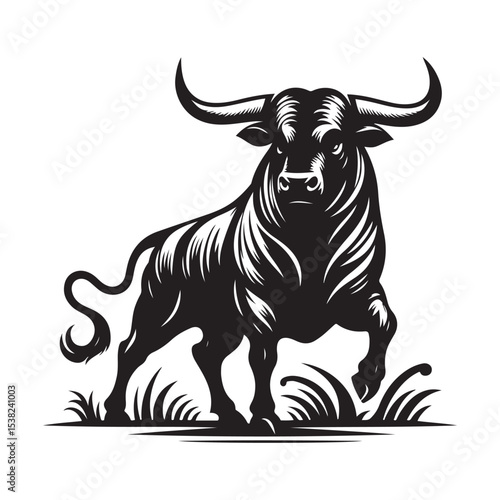 black and white bull