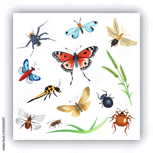 Set of insect illustrations, butterfly, caterpillar, cricket, ant, rhinoceros beetle, stag beetle, ladybug, cockchafer, realistic in 3d style.