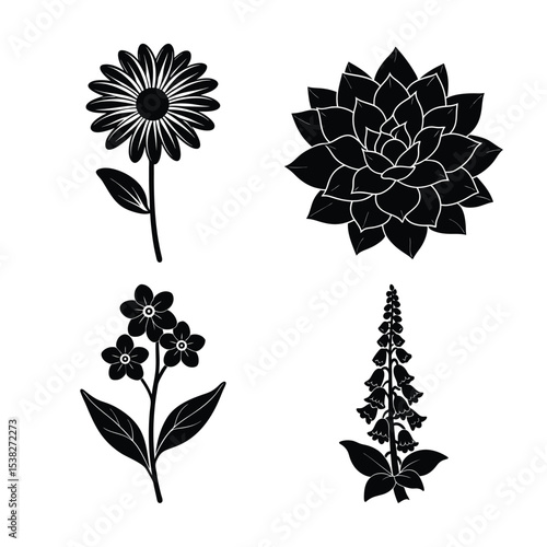 Four  Illustrations in Black Silhouette Style on a White Background Floral Design silhouette This image features four