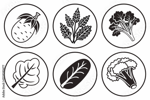 set of different kinds of food