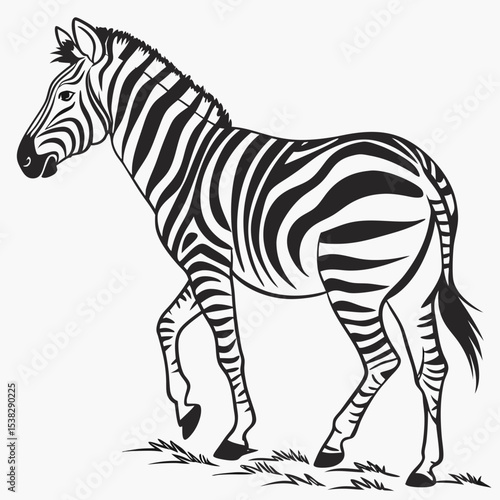 Illustration of a zebra in black and white with stripes walking on grass in a vector format created with generated ai