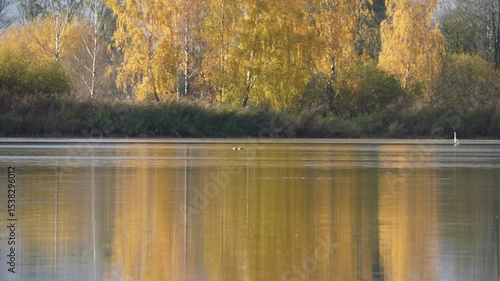 Wallpaper Mural autumn trees reflected in water Torontodigital.ca