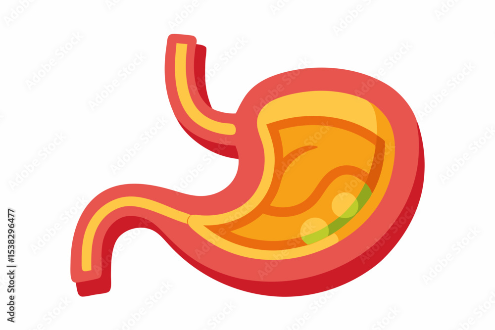 Fototapeta premium Illustration of a Human Stomach with Food and Digestive System