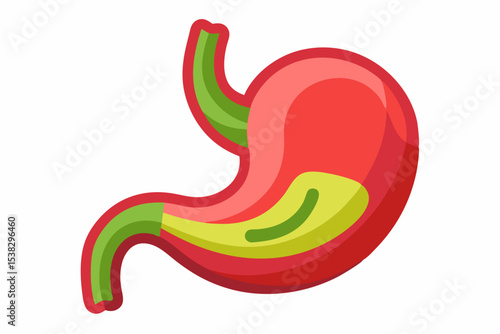 Colorful Cartoon Stomach Illustration for Medical or Educational Purposes on White