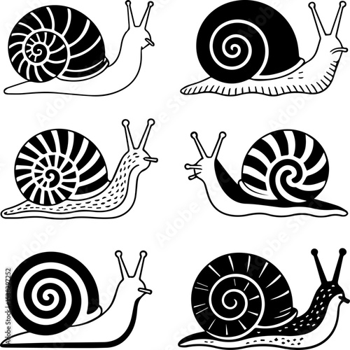 Snail Shell Variations A Collection of Six Unique Snail Illustrations