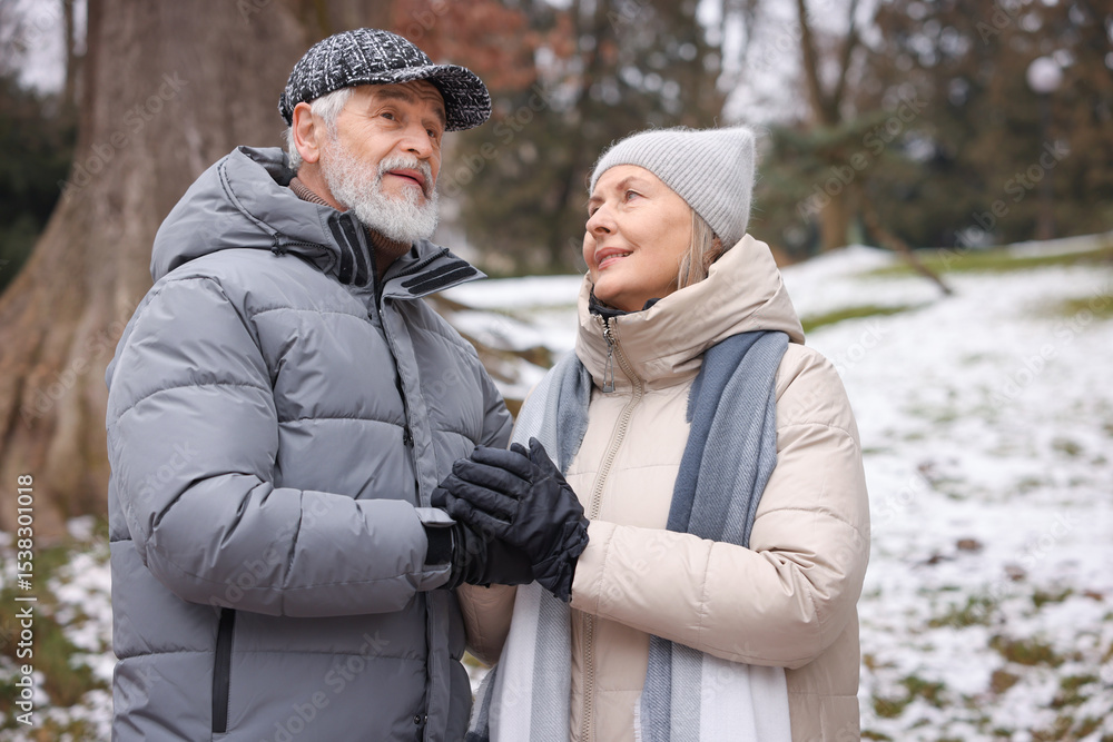 Fototapeta premium Lovely senior couple holding hands at winter park
