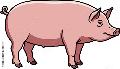 Pink pig farm animal illustration in vector art style with natural pose 
