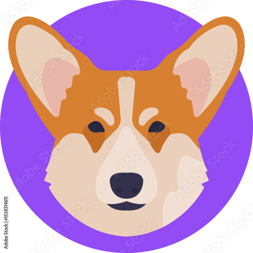 A small, short-legged dog with a fluffy tail and expressive face, known for its friendly nature.