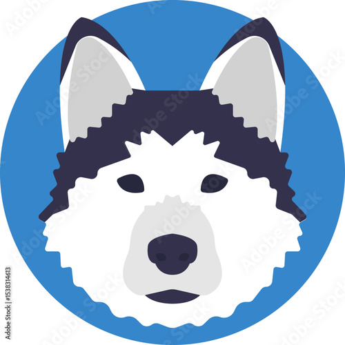 A Siberian Husky dog with thick fur and distinctive facial markings.