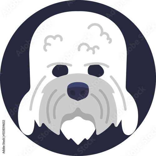 Coton de Tulear: Small, fluffy companion dog known for its cotton-like coat and friendly temperament.