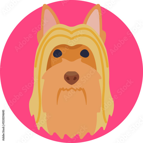 Yorkshire Terrier: Small, elegant dog breed with long, silky fur, known for its lively personality.