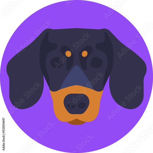 Dachshund: A small, long-bodied dog with short legs, known for its playful and loyal nature.