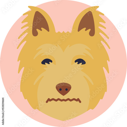 Small dog with a rough coat and upright ears, representing the Australian Terrier breed.