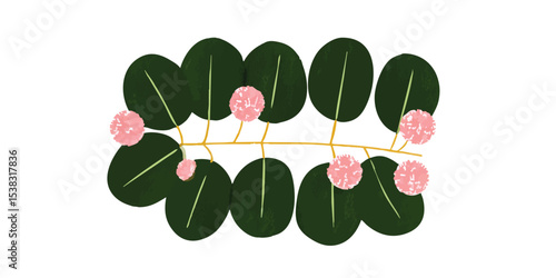A botanical illustration of...