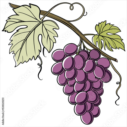  food vector