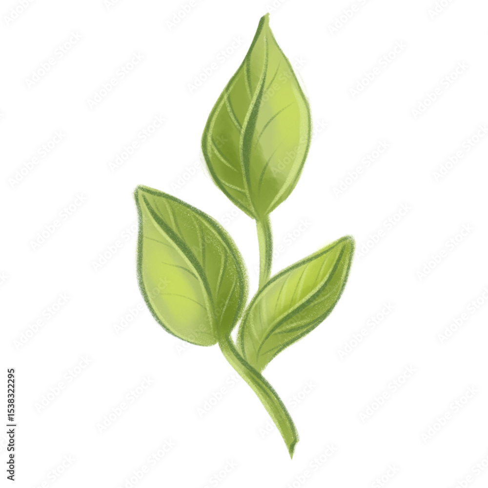 Single green plant stem with fresh leaves. Isolated botanical element, ideal for ecodesign, packaging or educational materials. Single green plant stem with fresh leaves. Isolated botanical element, ideal for ecodesign, packaging or educational materials.