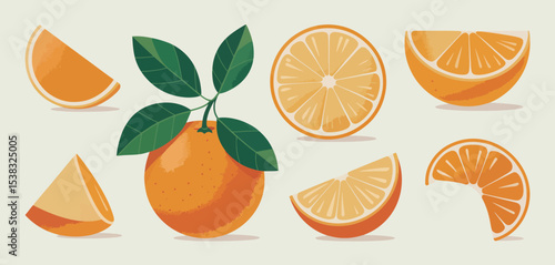 Fresh Oranges with Leaves Slices and Segments Illustration