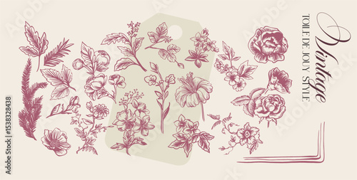Toile de Jouy. Set of graceful linear elements (botanical, fantasy) stylized for the Rococo and Neoclassical era. Vector illustrations on a colored background with text.