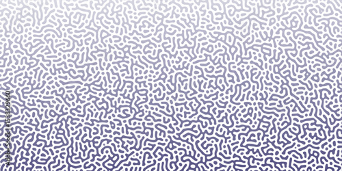 Abstract Reaction-diffusion Turing pattern natural texture purple and white gradient color scheme. Linear design with biological algorithm psychedelic background. Reaction-diffusion or truing patter