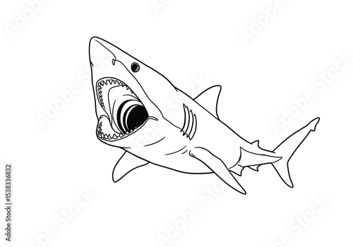 Basking shark drawing. It is a black and white outline image of a basking shark, a large, gentle filter-feeding shark with its mouth open. Vector sketch line art draw.