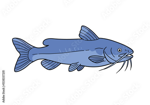 Blue catfish drawing. It is a blue-colored outline image of a blue catfish, a large freshwater fish known for its prominent barbels. Vector sketch line art draw.