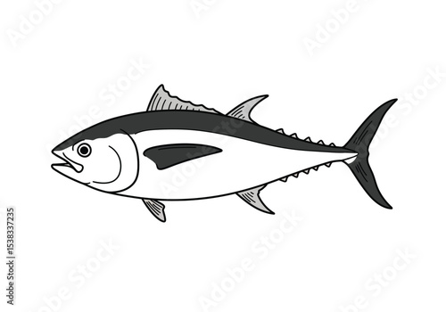 Bluefin tuna drawing. It is a black and white outline image of a bluefin tuna, a large and powerful marine fish highly prized for food. Vector sketch line art draw.