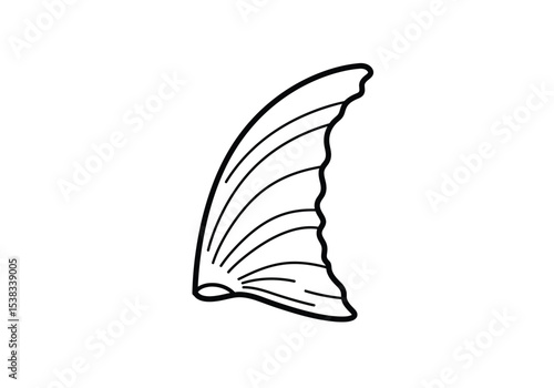 Fish fin drawing. It is a black and white outline image of a single fish fin, an anatomical part used for propulsion and balance. Vector sketch line art draw.