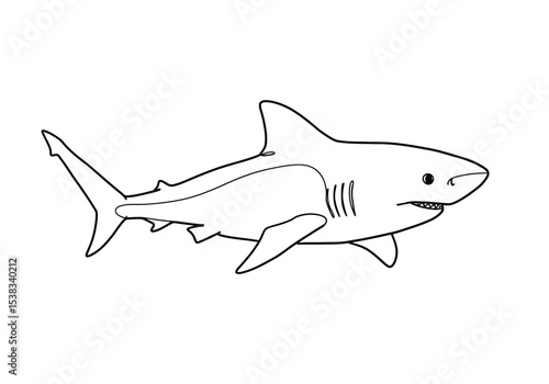 Lemon shark drawing. It is a black and white outline image of a lemon shark, a powerful marine predator with characteristic fins and gill slits. Vector sketch line art draw.