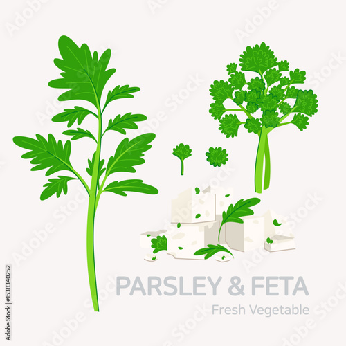 Parsley & Feta cheese set. Flat style graphic. Vector format.