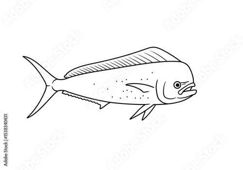 Mahi drawing. It is a black and white outline image of a mahi-mahi or dorado, a distinctive marine game fish known for its blunt head and unique shape. Vector sketch line art draw.