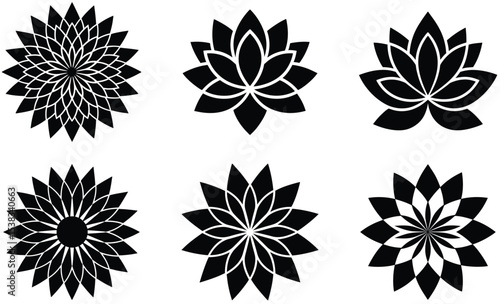 Bundle of dahlia sunflower lotus sun flower  meri gold icon with multiple layers of pointed petals.