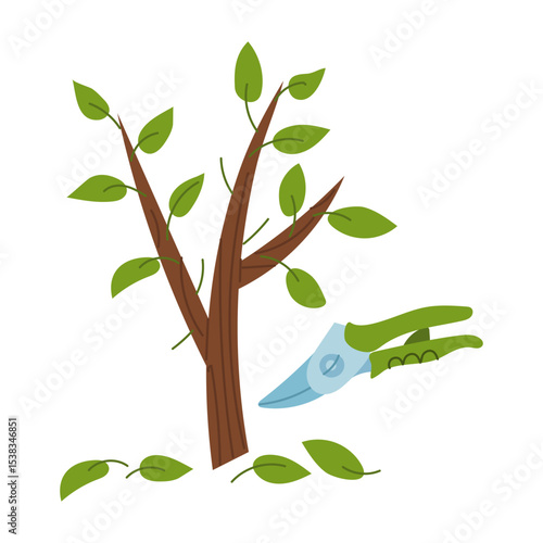 A small tree is sheared with pruning shears. Gardening tools. Flat color illustration. Garden yard. Suitable for gardening, site maintenance, weed control, agricultural machinery and manual labor