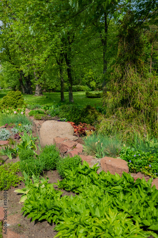 Fototapeta premium Lush plants thrive in a serene garden with stones and vibrant foliage under bright sunlight