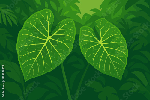 Lush tropical jungle background with large green Alocasia leaves. Vector illustration of exotic foliage. Natural rainforest plant texture. Summer botanical garden concept.