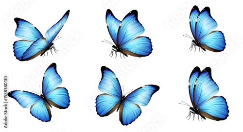 Six vibrant blue morpho butterflies isolated on a transparent background perfect for design projects nature lovers and artistic creations featuring elegant wings and intricate details.