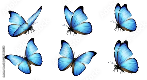 Fototapeta na wymiar Six vibrant blue morpho butterflies isolated on a transparent background perfect for design projects nature lovers and artistic creations featuring elegant wings and intricate details.