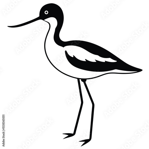 avocat vector