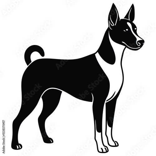 basengi vector dog