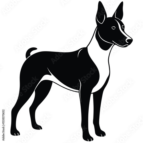 basengi vector dog