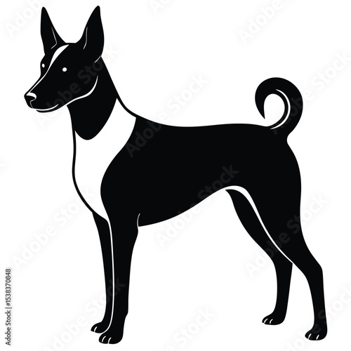 basengi vector dog