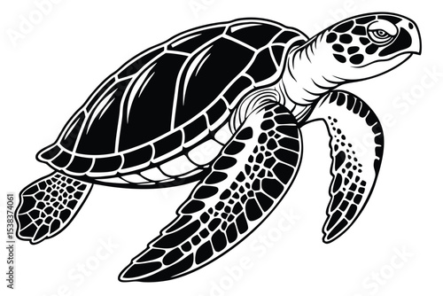 A monochrome sea turtle cruises with bold shell details and distinctive markings visible