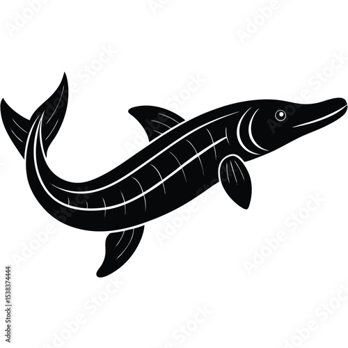 stergeon vector fish